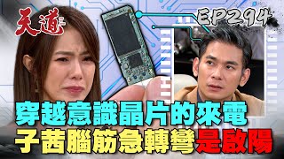 天道 EP294 完整版｜啟揚不科學尋愛！子茜不敢相信晶片來電是真愛｜FIGHT FOR JUSTICE｜【莊廣和堂轉大人萃滴精】 [upl. by Kimmy294]