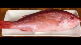 Mastering the Art of Cleaning and Cutting a Snapper How to Fillet a Fish Tell Freshness [upl. by Simonette871]