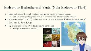 All you need to know about Hydrothermal Vent Ecosystems [upl. by Marylin]