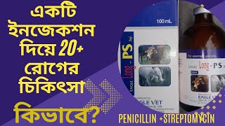 পেনিসিলিন স্ট্রেপটোমাইসিন এর ব্যবহার ক্ষেত্র সমূহ। Long PS [upl. by Rae]