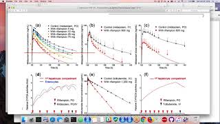 PBPK and QSP model implementation and utilization in R Part 2 [upl. by Marchall563]