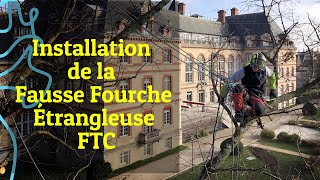 Élagage  Fausse Fourche Étrangleuse FTC  Technique N°2 [upl. by Ecnarwal]