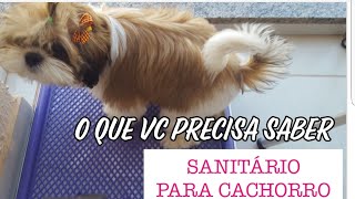 COMPENSA TER UM SANITÁRIO PARA CACHORRO 🤔 lixozero sustentabilidade minimalismo [upl. by Titania17]