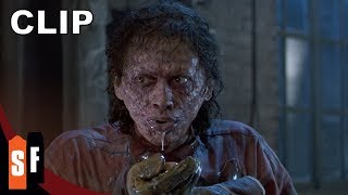 The Fly Collection  The Fly 1986  Why We Love It HD [upl. by Refanej]