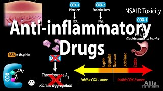 Antiinflammatory NSAIDs Drugs Pharmacology Animation [upl. by Wessling749]