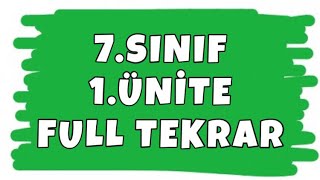 7 SINIF MATEMATİK 1 ÜNİTE FULL TEKRAR  TAM SAYILARLA İŞLEMLER KONU ANLATIMI [upl. by Noivert675]