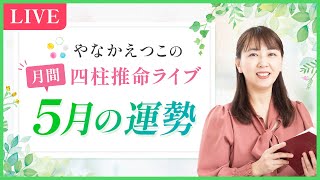 【2024年5月5日 己巳つちのとみの日】強い金運が巡ってくる！？｜毎月、運勢の移り変わりの時期にお届け、四柱推命月間運勢ライブ 〜５月の運勢〜 [upl. by Jolynn]