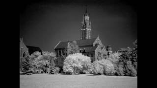 Lesson 13 Infrared Photography Tips [upl. by Thanh]