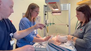 Neonatal Resuscitation in Five Minutes [upl. by Vinna]