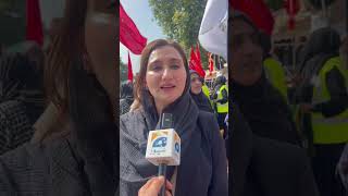 Annual Arbaeen procession in London from Marble Arch around Hyde Park  maleeka bukhari [upl. by Ddarb]