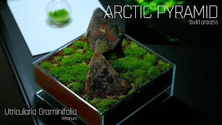 Arctic Pyramid  Terrarium Build Process with Utricularia Graminifolia [upl. by Klemm]