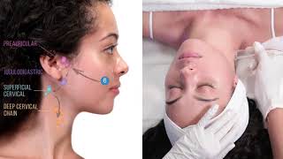 Hydrafacial Lymphatic Face Therapy [upl. by Brady]