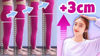 GROW TALLER amp GET LONG LEGS With This Exercise amp Stretch Slim amp Long Leg Stretch [upl. by Platt198]