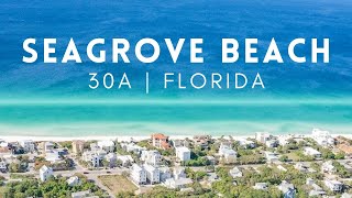 30A Florida Beach House Tour  Seagrove Beach Florida [upl. by Ppilihp]