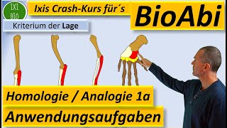 Homologe und analoge Organe Homologiekriterien Anwendungsaufgaben 1a ErläuternBegründen BioAbi [upl. by Soloman]