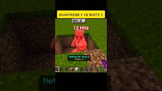 Sharpness V Vs Smite V AmitGamer360 minecraft trending viral popular Sharpness smite [upl. by Sula]