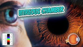 Vitreous chamber Your EYEBALLS 👁️👁️💉😳💊🔊💯✅ [upl. by Storfer]