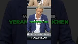 Grenzen dicht Sicherheit für Bürger in Deutschland wirtschaft [upl. by Ativoj]