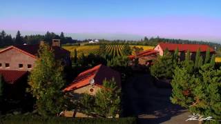 Oregon Wine Country Alloro Vineyard 4K  DJI Inspire1 [upl. by Arahset401]