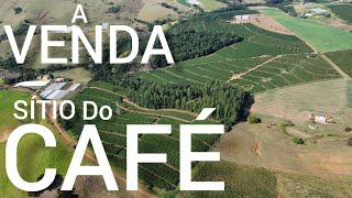 SÍTIO  ALTA PRODUÇÃO DE CAFÉ NO PARANÁ R46M [upl. by Enylorac]