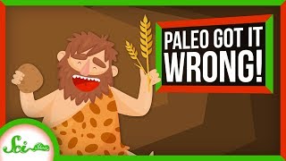 Paleo Got It Wrong Weve Loved Carbs for Over 100000 Years  SciShow News [upl. by Carlyle23]