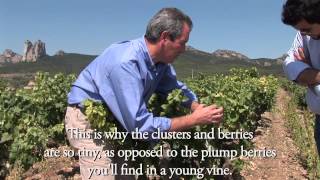 The History of Rioja [upl. by Hafeenah971]