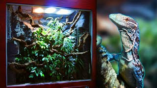 How I made a Huge Reptile Vivarium – Full Build [upl. by Harbed]