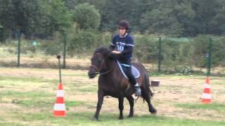 leuke paarden filmpjes [upl. by Nnywg]