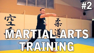 FREESTYLE MARTIAL ARTS TRAINING  TURBO TORBEN [upl. by Pallaten]