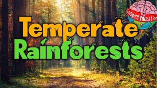 What are temperate rainforests [upl. by Levan]