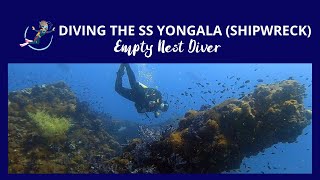 Diving the SS Yongala [upl. by Magree]