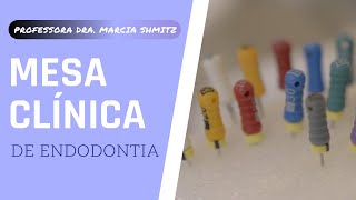 MESA CLÍNICA EM ENDODONTIA INSTRUMENTAÇÃO MANUAL [upl. by Teeter]