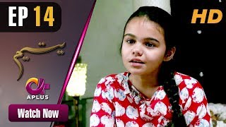 Yateem  EP 14  Aplus Sana Fakhar Noman Masood Maira Khan  Pakistani Drama  C2V1 [upl. by Iznil]