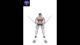 Best Upper Chest Exercise At Gym viral ytshort exercise chest fitnessvloger2003 [upl. by Vonnie725]