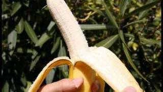 Gwen Stefani  Bananas Official Music Video [upl. by Anisamot]