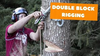 Double block rigging  Tree rigging systems [upl. by Adnohral408]