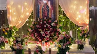 Haciendo un altar para la Virgen de Guadalupe 12 de December [upl. by Assennav247]