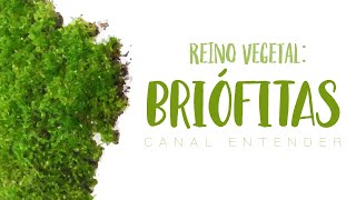 BRIÓFITAS  Reino Vegetal [upl. by Hassi]