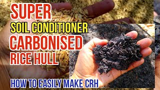 How to Make Carbonised Rice Hull  Benefits of Carbonized Rice Hull in Plants  diyCRH CRH [upl. by Llerraj]