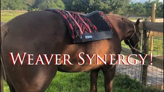 Weaver Leather Synergy Saddle pad Ride amp Review [upl. by Louise]