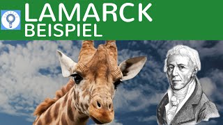 Evolutionstheorie von Lamarck  Beispielaufgabe Giraffen  Evolution 5 [upl. by Janette]