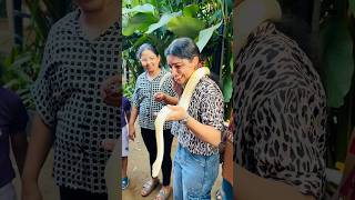 അയ്യോ അമ്മച്ചീ പാമ്പ് 🐍😂Farm Villa Chavakkad 🐍 family shorts youtubeshorts love [upl. by Alenson]