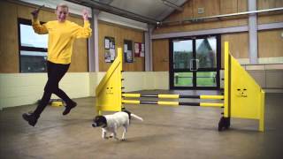 Dogs Trust National TV Advert Feb 2014 [upl. by Awra]