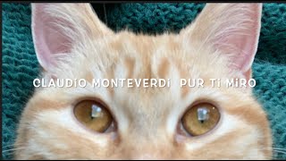 Monteverdi  Purr ti miro  Theorbo solo [upl. by Carissa]