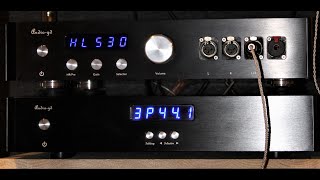 AUDIOGD R8 MKII R2R DAC FULL REVIEW [upl. by Dduj]