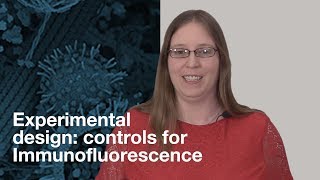 Experimental design what controls should I include for Immunofluorescence IF  CST Tech Tips [upl. by Hardin]