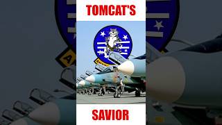 The unlikely savior of the F14 tomcat [upl. by Asimaj511]