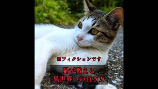 異世界への行き方【ネコが演じる 都市伝説 NO93】shorts 猫 ねこ [upl. by Loftis]