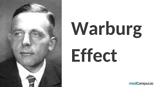 Warburg Effect  Nobel Prize  PET CT [upl. by Eedolem]