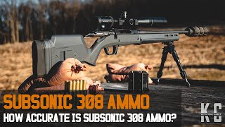 308 Subsonic Ammo  How Accurate is it [upl. by Mirabella922]